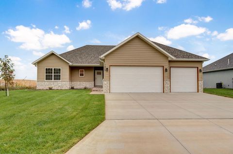 Photo of 1429 N Collins Drive, Republic, MO 65738 (MLS # 60307516)