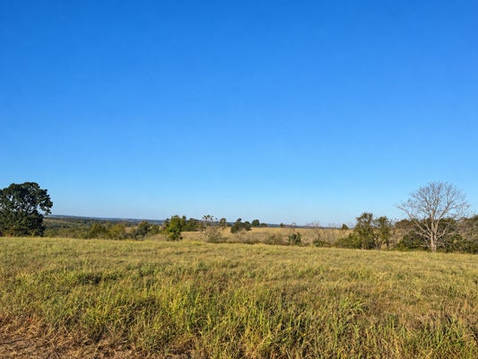 000 W LOWERY ROAD, LEAD HILL, AR 72644 - Image 4f0f9401836bb2ec8b11143e532610df/2623280913