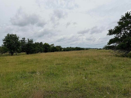 6 STATE HWY E, FAIR GROVE, MO 65648 - Image 4f608265ae9d19e1c7ee83ce8dc5519a/4253661988