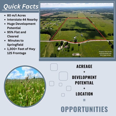 3246 N STATE HIGHWAY 125, STRAFFORD, MO 65757 - Image 4fda0f7fa318eb41561bd1acab792719/3262705855