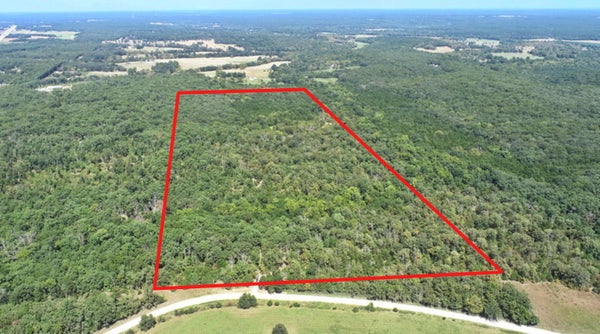 SE 500TH RD, COLLINS, MO 64738 - Image 4fdb9e4bb56650687971ebbd5642f919/3295338099