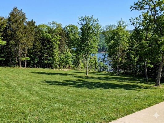 11 TALL CEDAR LN, REEDS SPRING, MO 65737 - Image 4ff80f5a3146a5b52d557e81ae6f5f34/3702635923