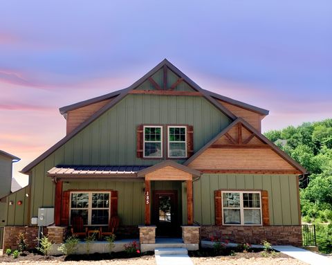 Photo of 185 Lakefront Drive, Branson, MO 65616 (MLS # 60324018)