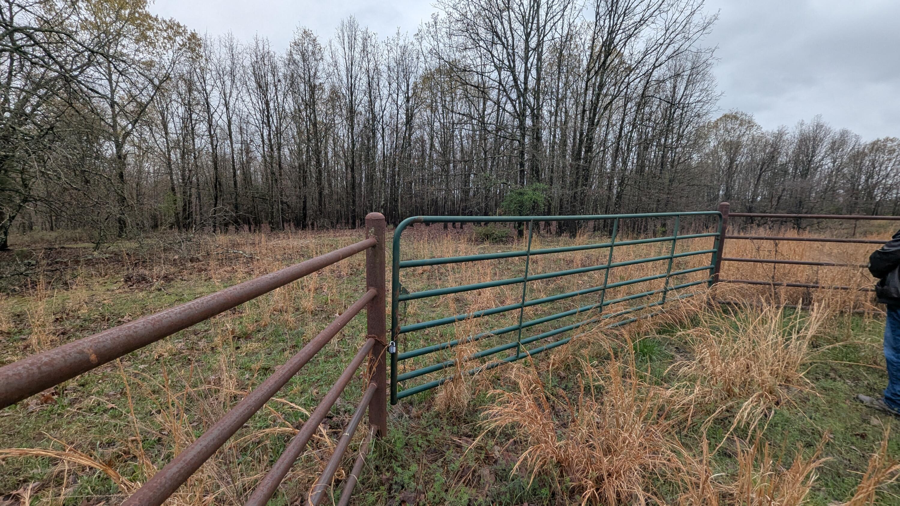 Love to hunt and fish? This is it!  Beautiful 111 acres mostly wooded of prime hunting land. Only 1.5 mile off paved highway.  This property has several nice spots to build your dream home or hunting retreat.  Good fence and 2 ponds, a haven for deer and turkey!