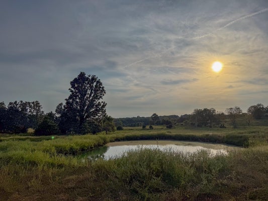 4420 STATE ROUTE DD, WILLOW SPRINGS, MO 65793 - Image 51ea6bf534e174e408d9bdbbc28bd39b/1309389237