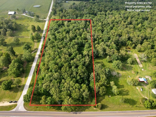 4 STATE ROAD P, LONG LANE, MO 65590 - Image 534860d72aea5d6ee78d6abfc6d0c721/3209074848