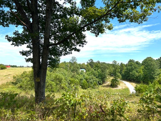 10880 SACKETT RD, LICKING, MO 65542 - Image 5377a5af0c54da32d473db86c975015d/337727848