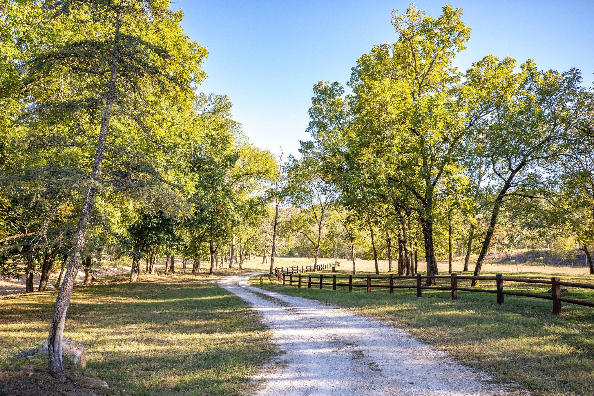 903 Reno Springs Road