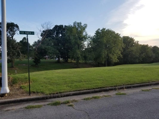 LOT 14 FOX HAVEN DRIVE, MT VERNON, MO 65712 - Image 547625e802ae3ca3e9a17c1e0dbf774a/1350534254