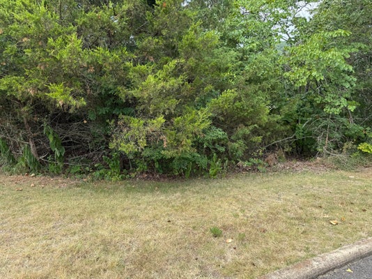 5 SILVEROAK WAY, REEDS SPRING, MO 65737 - Image 568b9cecd4fc3df8d7b0f03b32312b56/4118799113
