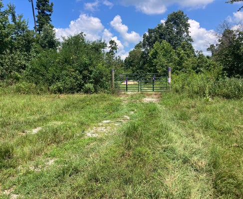 7187 HIGHWAY KK, HARTSHORN, MO 65479 - Image 58c053bba2aad81a167d2a08956f1cd8/1908443138