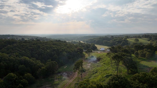 7 COUNTY RD, MONETT, MO 65708 - Image 59a6e8aa6aee2a509e98b30e4e0650d8/447451162