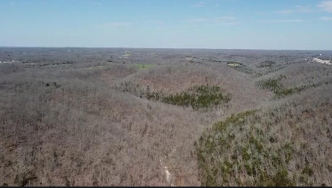 This exceptional property boasts direct access to Highway 65 and strategically borders Busiek State Forest and Wildlife Area. Featuring breathtaking views and optimal building sites, it presents an ideal opportunity for both recreational and commercial purposes. Do not overlook this remarkable opportunity!