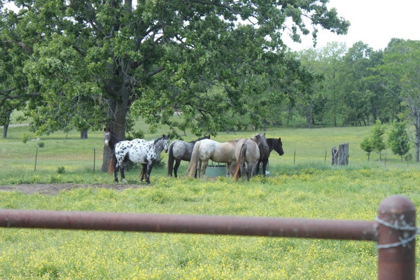 2231 W HWY, THAYER, MO 65791 - Image 5a11e5dc0325083b0ba5e5af691f276d/2331622097