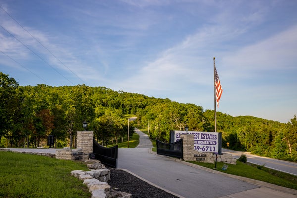 68 PATRIOT DR, FORDLAND, MO 65652 - Image 5a3b8525b6da7042857bce58ae90e87b/3926663113