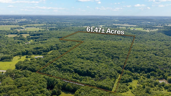 3093 S 25TH RD, HUMANSVILLE, MO 65674 - Image 5a639701bdec6c3e8e4e3b49c58bebe4/499138165
