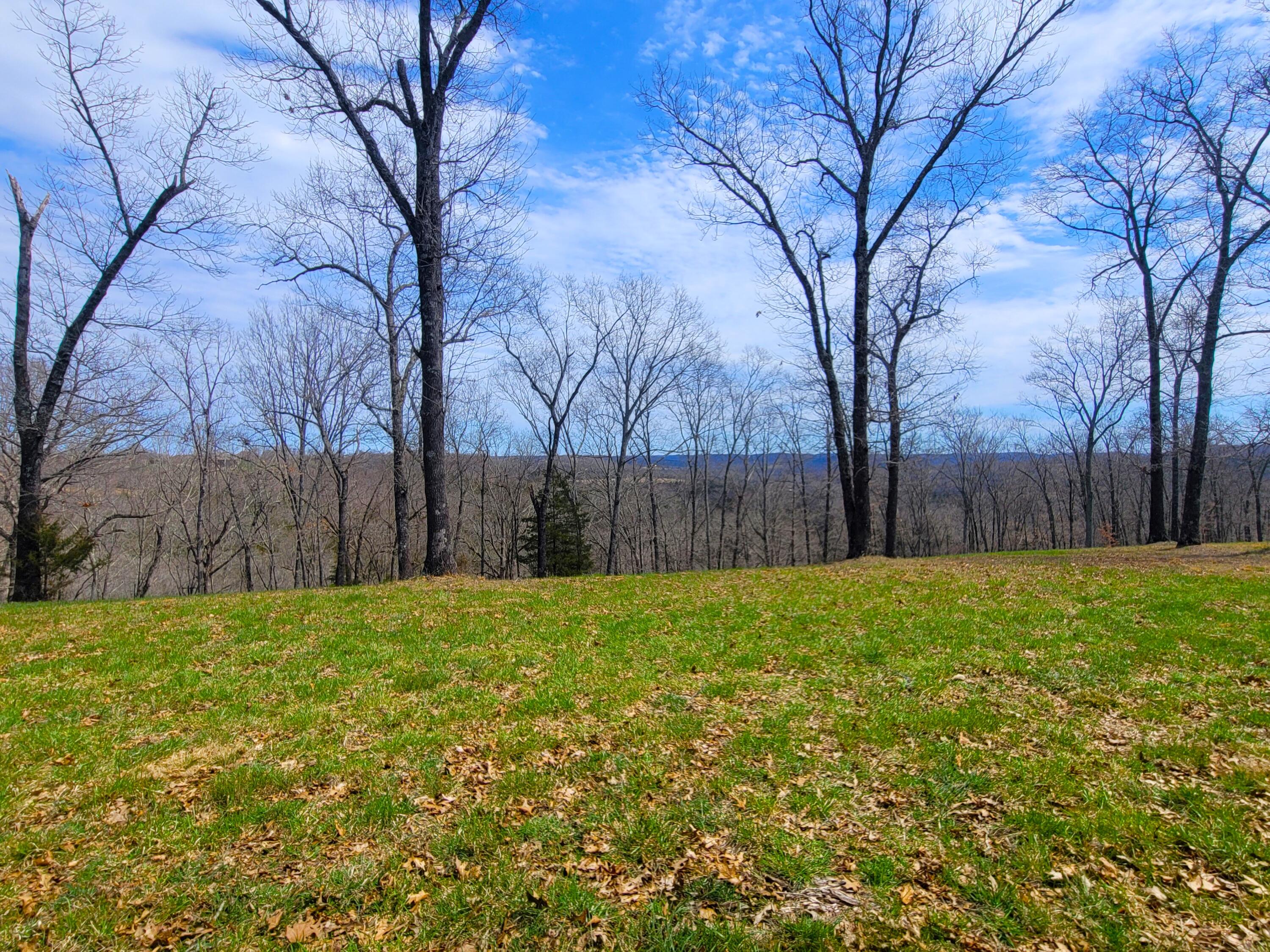 Saddlebrooke - Land
