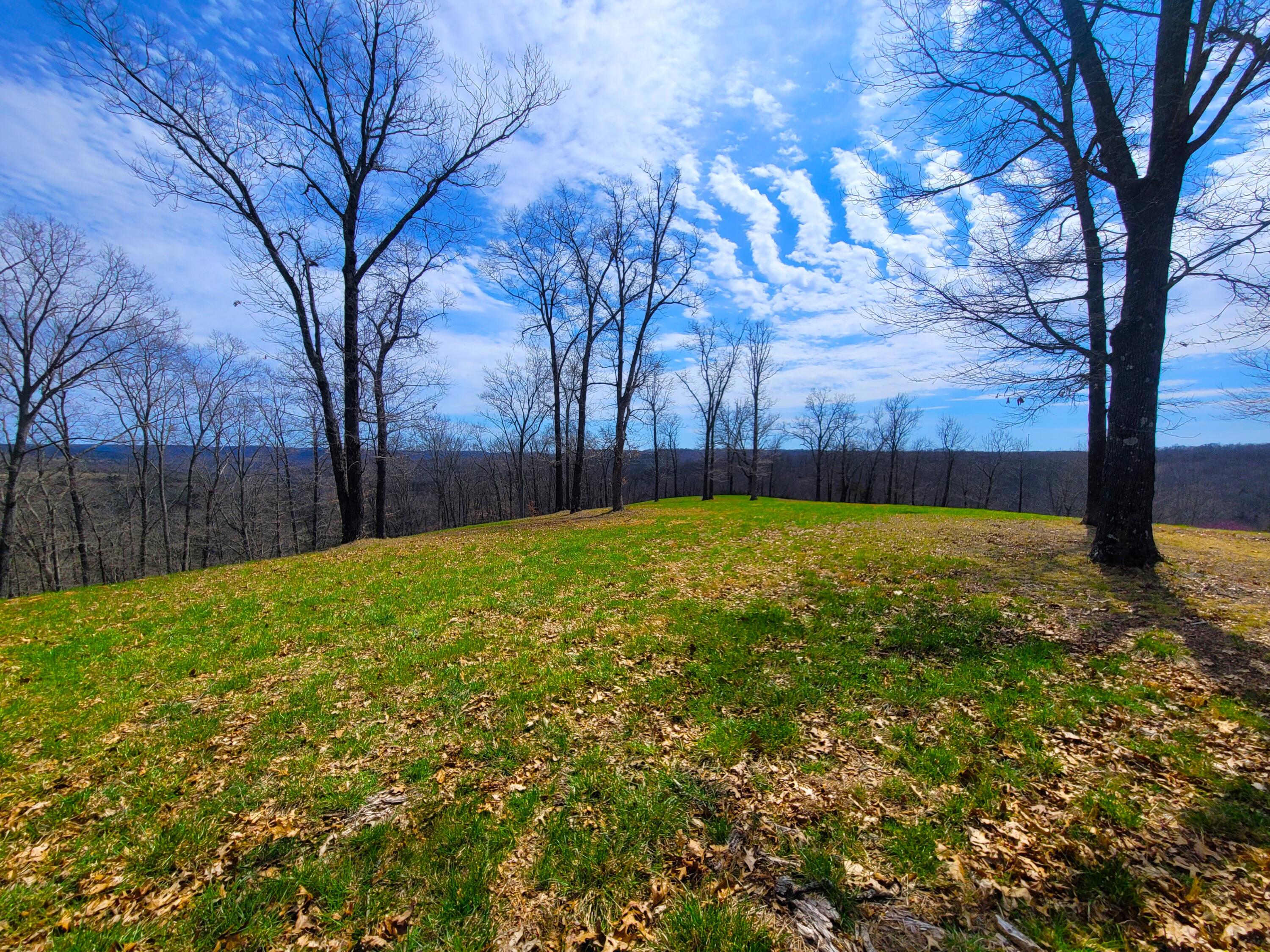 Saddlebrooke - Land