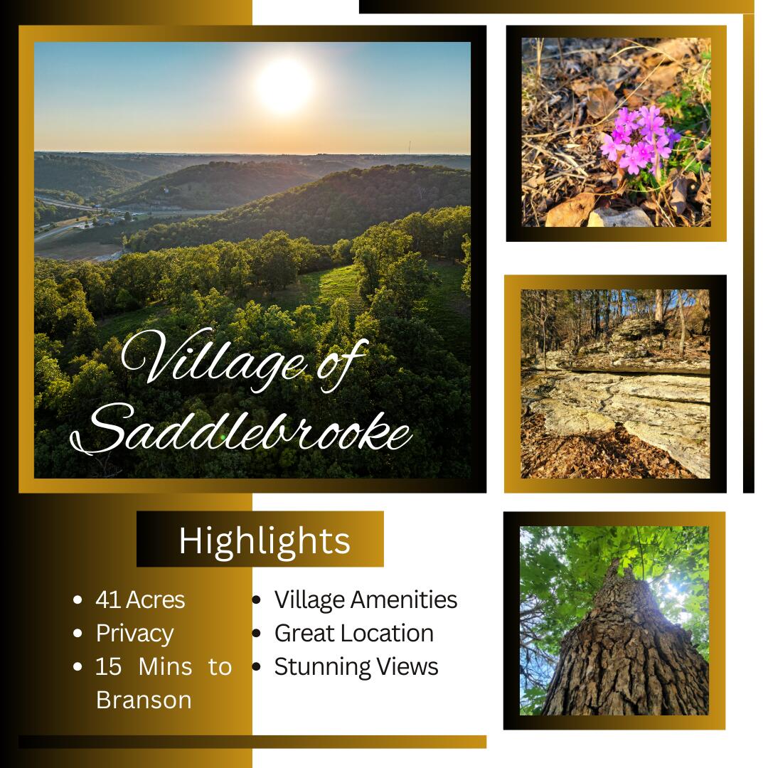 This one stands above the rest! Literally, it's located on the highest point in The Village of Saddlebrooke. Located in a highly sought-after area and includes many great amenities. You're guaranteed views for miles! The village has an astonishing 4,500 acres of beautiful hilltops, stunning valleys and crystal-clear creeks, which joins thousands more acres of Mark Twain National Forest. This is captivating acreage that never becomes available within this community. With most of the properties being around an acre in size, this property boasts 77 fantastic acres. To add to the elegance of this community they also have amenities including a community building with meeting rooms, swimming pool, basketball and tennis courts, and a pavilion at the park to enjoy family gatherings by the grill and creek. This community was designed to have mother nature on full display. Conveniently located with quick access to Highway 65 and about 10 minutes to restaurants, shows and shopping at the Branson Landing, you are sure to always have something to do when friends and family visit. The Village has many interesting and unique houses including 2007 and 2020 Home of the Year winners as chosen by 417 Magazine. It's hard to list everything this village and area entails. Call today to get all the details and a tour of this one-of-a-kind village. You will not be disappointed.