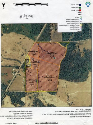 141 COUNTY ROAD 329A, DORA, MO 65637 - Image 5b1dc7fa41cbbcef0c457298a17d4333/315916773