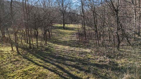 Xoxo Flag Springs Road Washburn MO 65772
