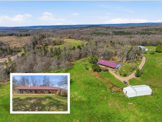 557 HAGEWOOD LN, THEODOSIA, MO 65761 - Image 5b9f026bad98f55fbfe364868c8b0a86/1501084077