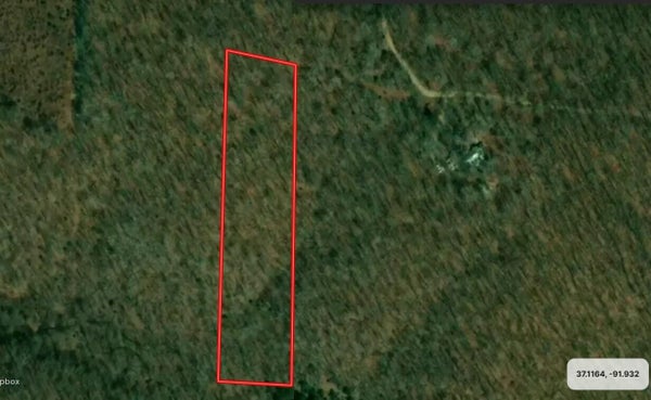 RAINBOW DR, WILLOW SPRINGS, MO 65793 - Image 5cb6b176e60aa7e8448c3db5700b3e89/353979347