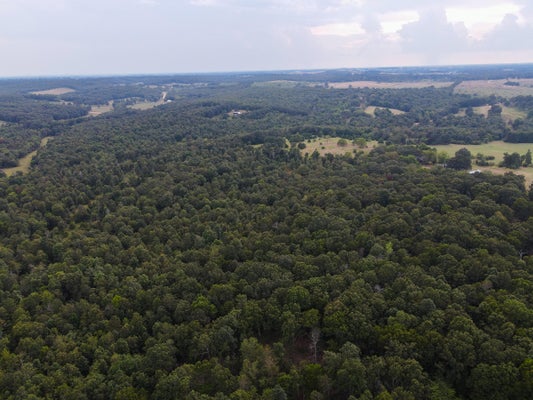 2 COUNTY RD 347, CAULFIELD, MO 65626 - Image 5cfcc1de03f504be9384a6951ebd9712/2133204516