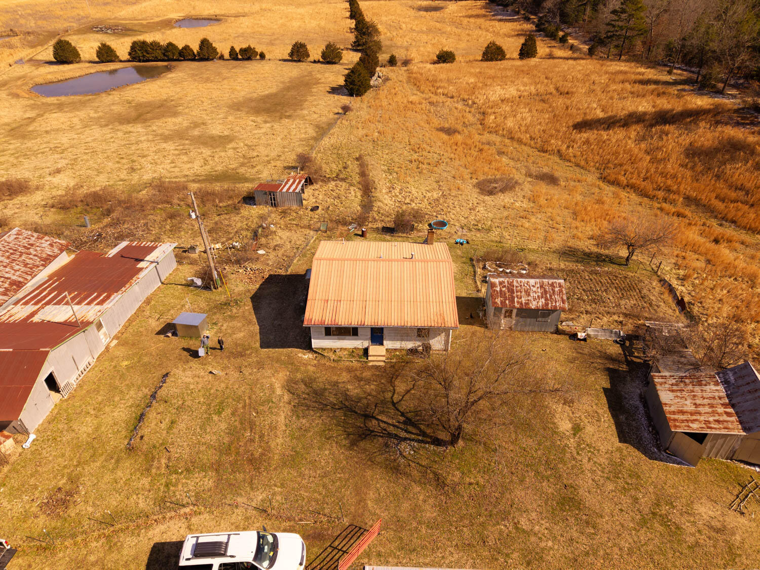 Listing image 8