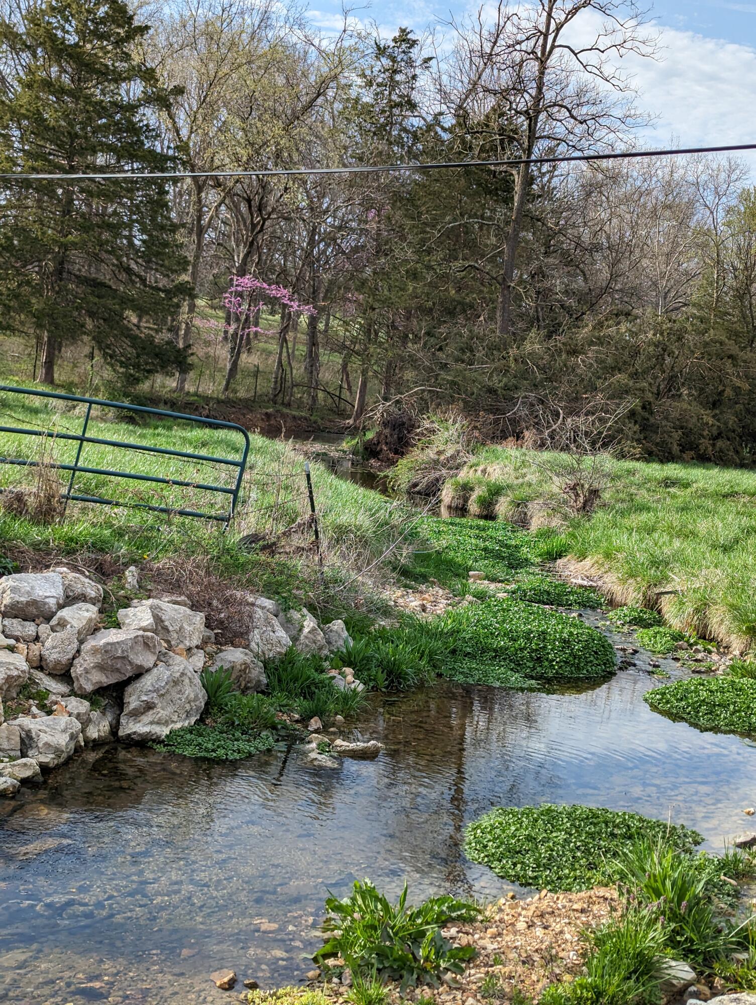 Listing image 8