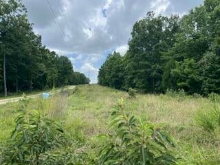 2371 COUNTY RD 359, THAYER, MO 65791 - Image 5d743e032ce741c5c4ed232a28f9f059/2890958955