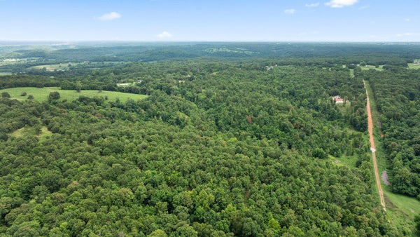 ADDRESS PRIVATE, NOEL, MO 64854 - Image 5dc54fc838c77b7ef6dea2ae8bfeb654/3347945431