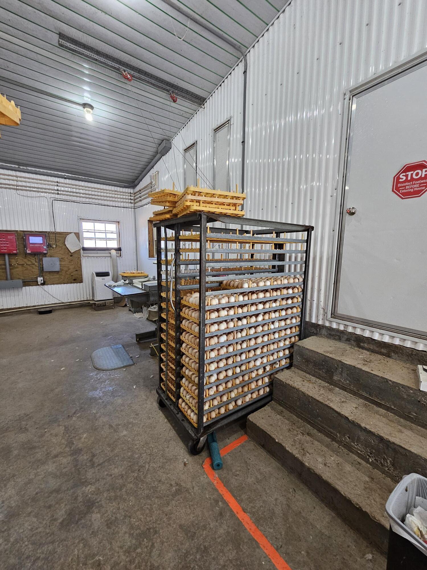 McDonald-Not in List - Farm