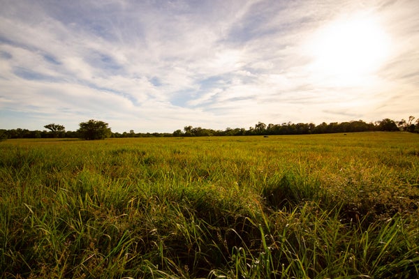 E 1570TH RD, JERICO SPRINGS, MO 64756 - Image 5fc082cb1ca1215110f76f5a7cda6c67/3450168180