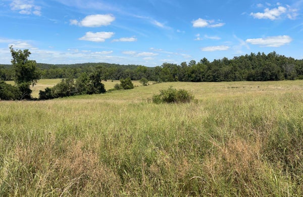 3922 COUNTY ROAD 534, ELLINGTON, MO 63638 - Image 601a1ccd63d5bff85cec0d336d6ff7db/4234966386