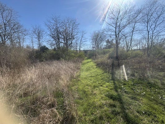 WEAVER ST, WINONA, MO 65588 - Image 6122fde478ee7167b104e9a666d8e00a/3610727022