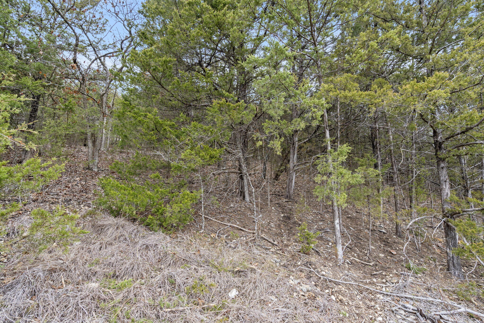 Kimberling Hills - Land