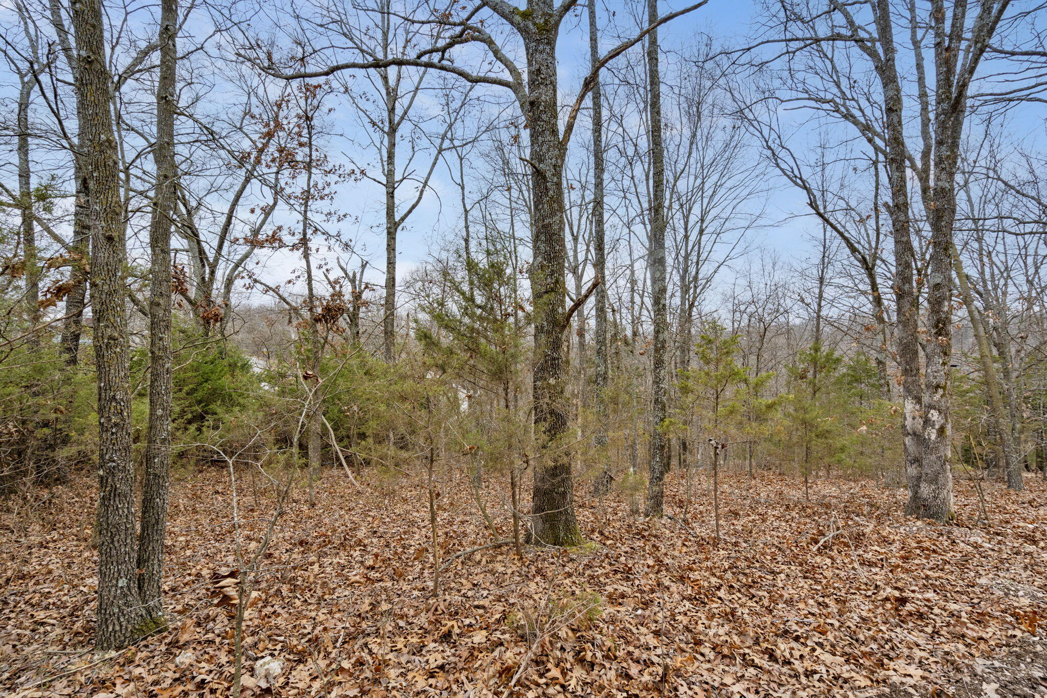 Kimberling Hills - Land