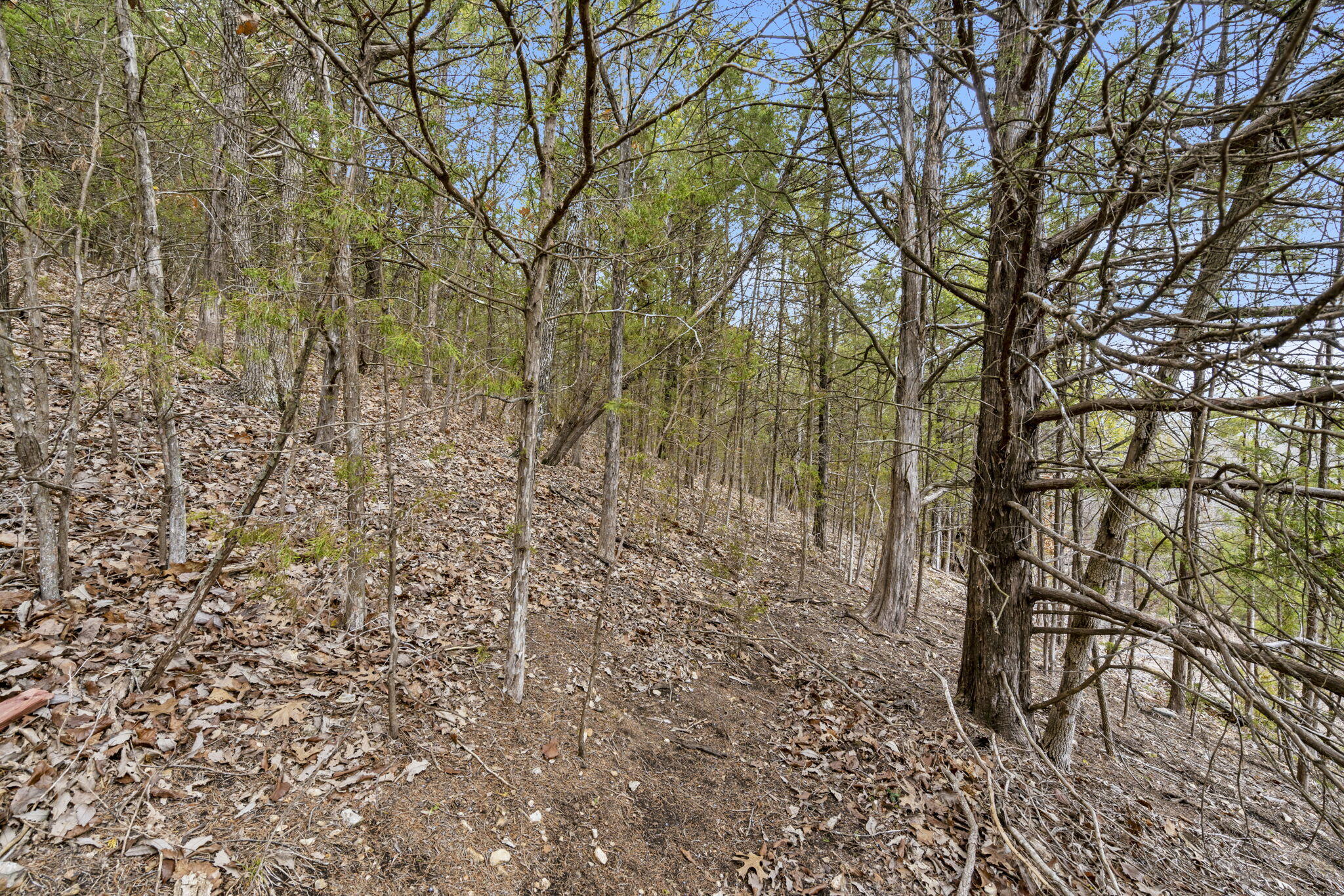 Kimberling Hills - Land
