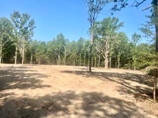 101 W HIGHWAY 32, LICKING, MO 65542 - Image 62162dd702ff9785d681f6fc46d082a0/2719599663