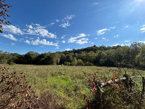 Photo of 12818 E State Highway 90, Washburn, MO 65772 (MLS # 60307096)