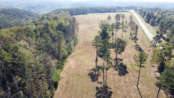34730 E STATE HIGHWAY 14, AVA, MO 65608 - Image 62a3ef3ef45c166f1e0ff01b0a5e7a65/2564858295