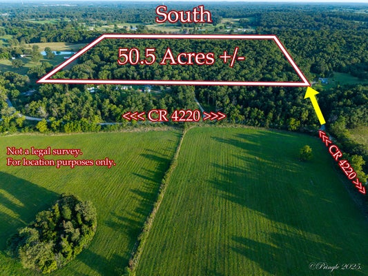 COUNTY RD 4290, WEST PLAINS, MO 65775 - Image 62a68199a27e6d1420951b2f85f4dd6c/213367368