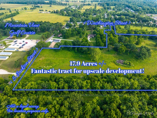 2 N JACKSON ST, SALEM, MO 65560 - Image 63dd9b790b463b6d8bfba335db7771ec/2593258859