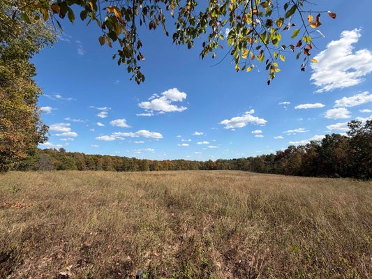 000 E HIGHWAY 14 # G, AVA, MO 65608 - Image 64335d0220b16b754c99ecf83882debb/2281095300