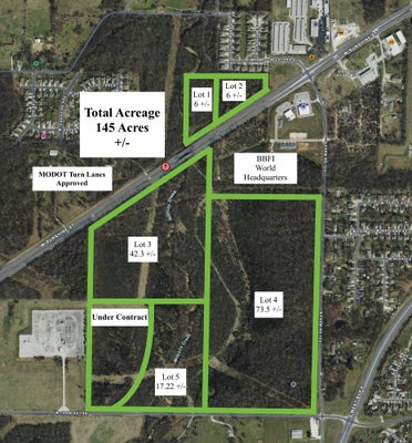 E HWY W LOT 1, WALNUT GROVE, MO 65770 - Image 65b8fee927c4328dfd43b4242952b90b/573045038