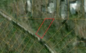 000 CANYON DRIVE, MERRIAM WOODS, MO 65740 - Image 687f8c9764c719132ee08e95dce258a3/469587330