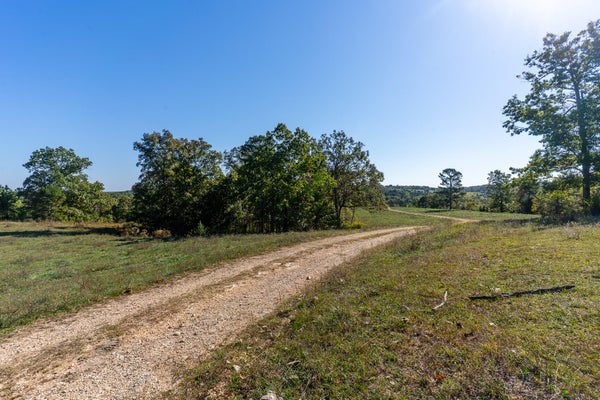 000 COUNTY ROAD 1130, WILLOW SPRINGS, MO 65793 - Image 69f89bbd8a3cc31435e56ce9bbc8bad2/2029823945