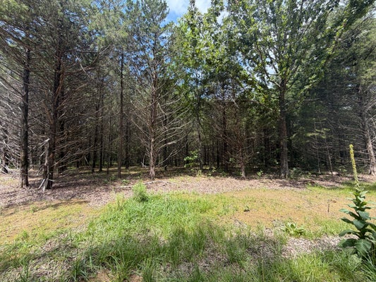 65 COUNTY RD 318, TECUMSEH, MO 65760 - Image 6a6f1a3f45b853030e7b9e01c302f5cd/3364647916