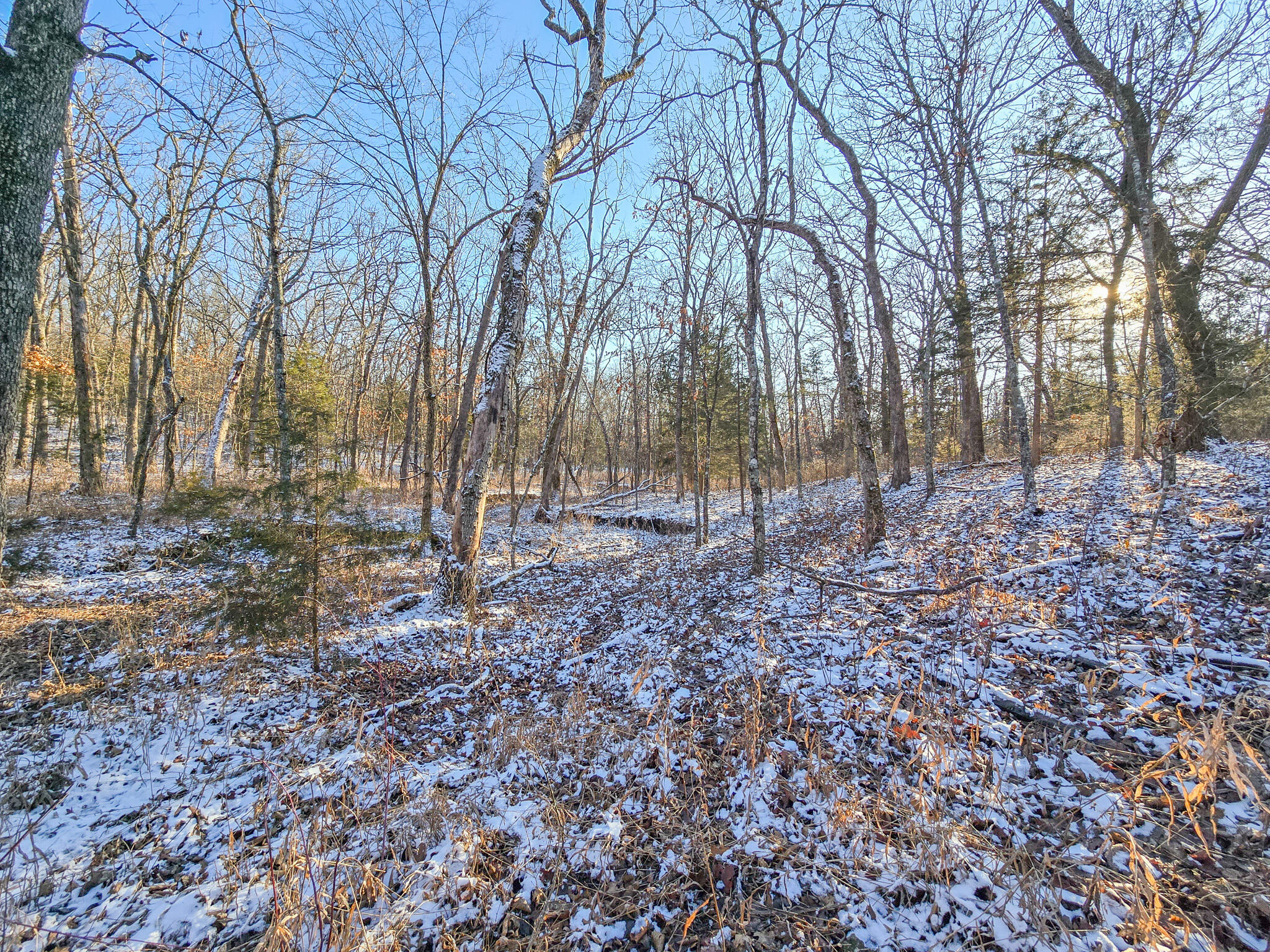 Listing image 8
